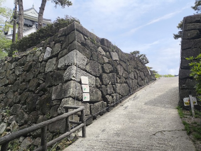 岡崎城安全対策