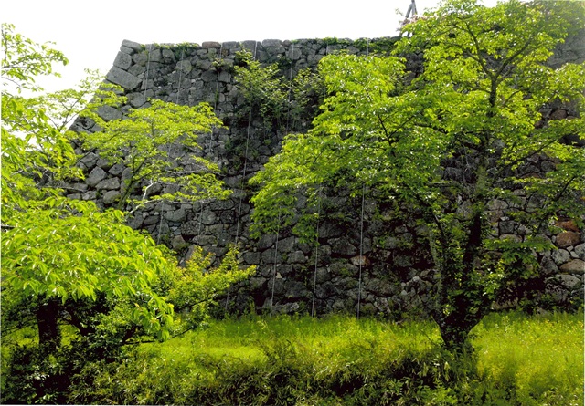 篠山城石垣保護