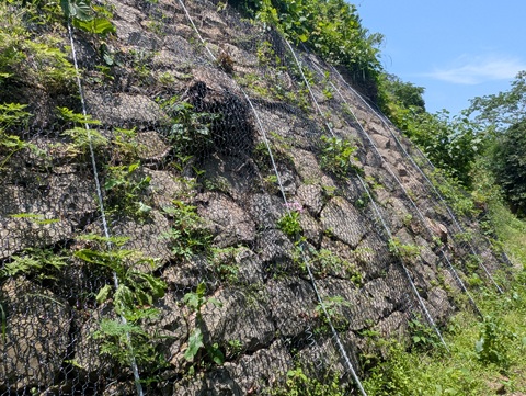 宇和島城