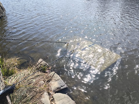 【落石防護網】滋賀県　彦根城跡石垣解体工事